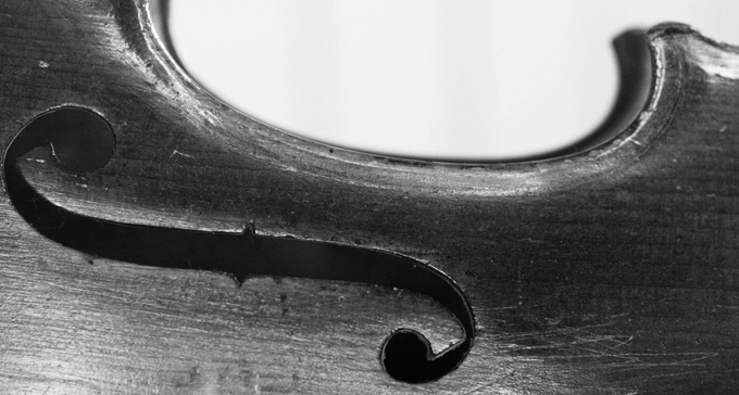 Fiol. Foto: Mrs Magic/Flickr (CC)