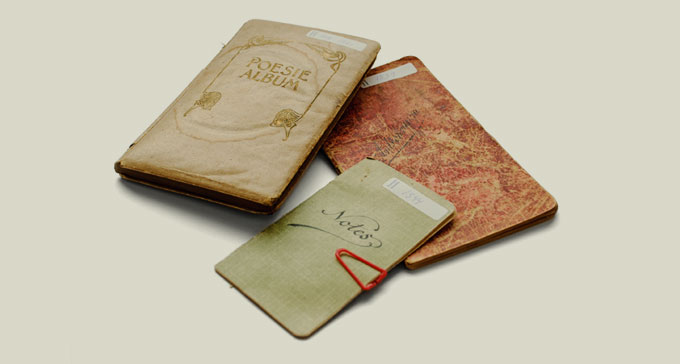 Gotländska visböcker. Foto: Jonas André