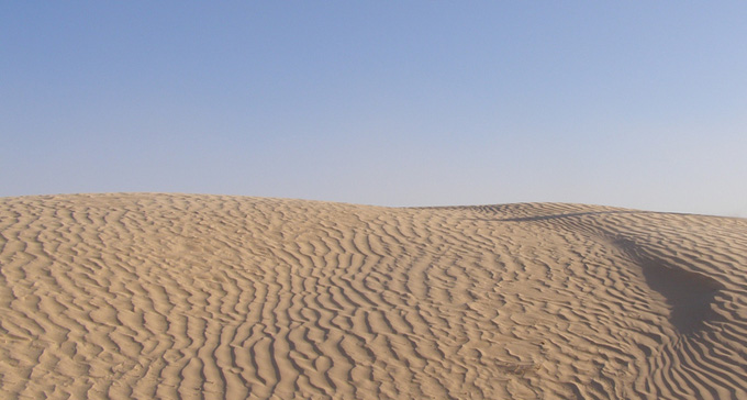 Ökenfestival kommer till Skandinavien. Foto: Pantagónica/Flickr (CC)