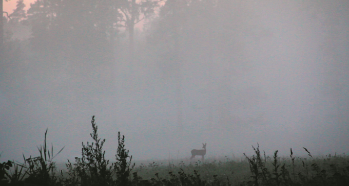 Föreställningen Astroekologi har skapats med stöd av Musikverket. Foto: Johannes Heldén